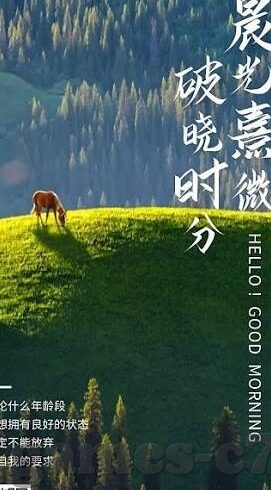 星空体育综合登录入口-星空体育综合登录入口，开启多元化体育娱乐新体验